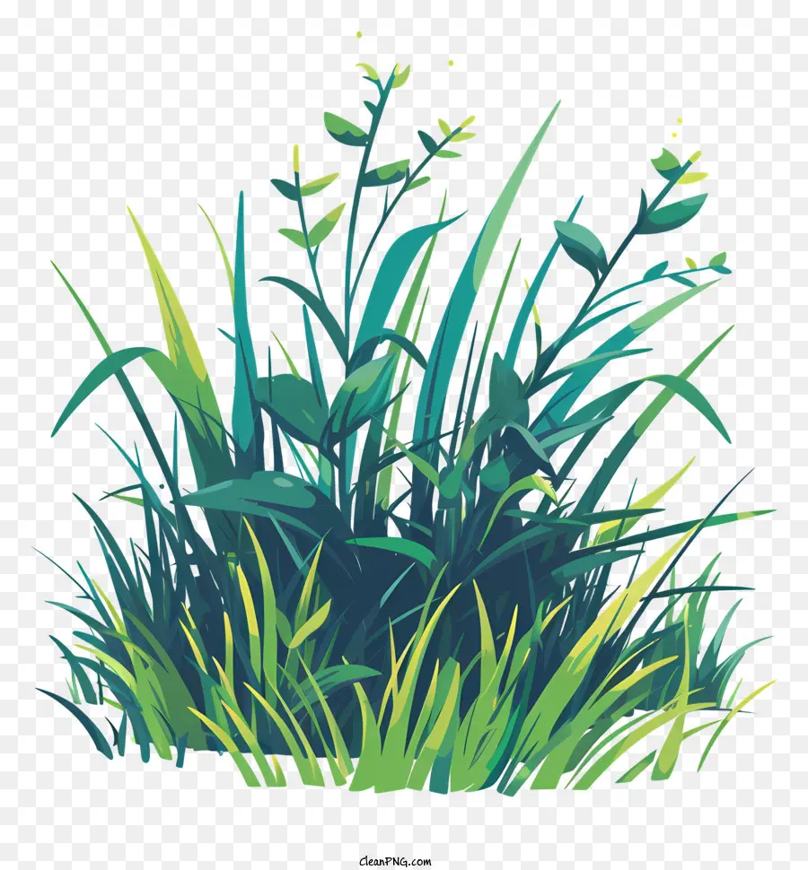 L'herbe Printanière，Pelouse Verte PNG