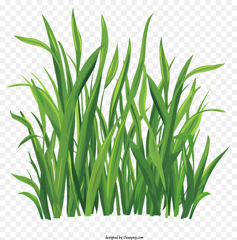 L'herbe Printanière，Pelouse Verte PNG