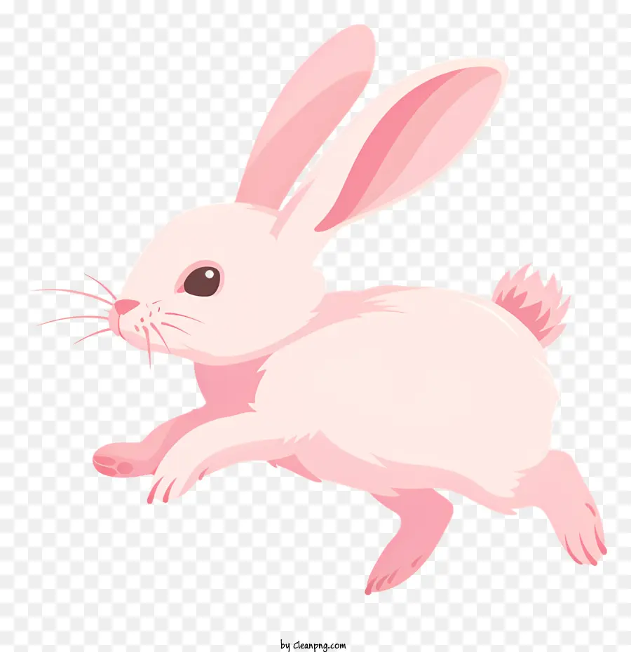 Bunny Hop，Lapin Blanc PNG