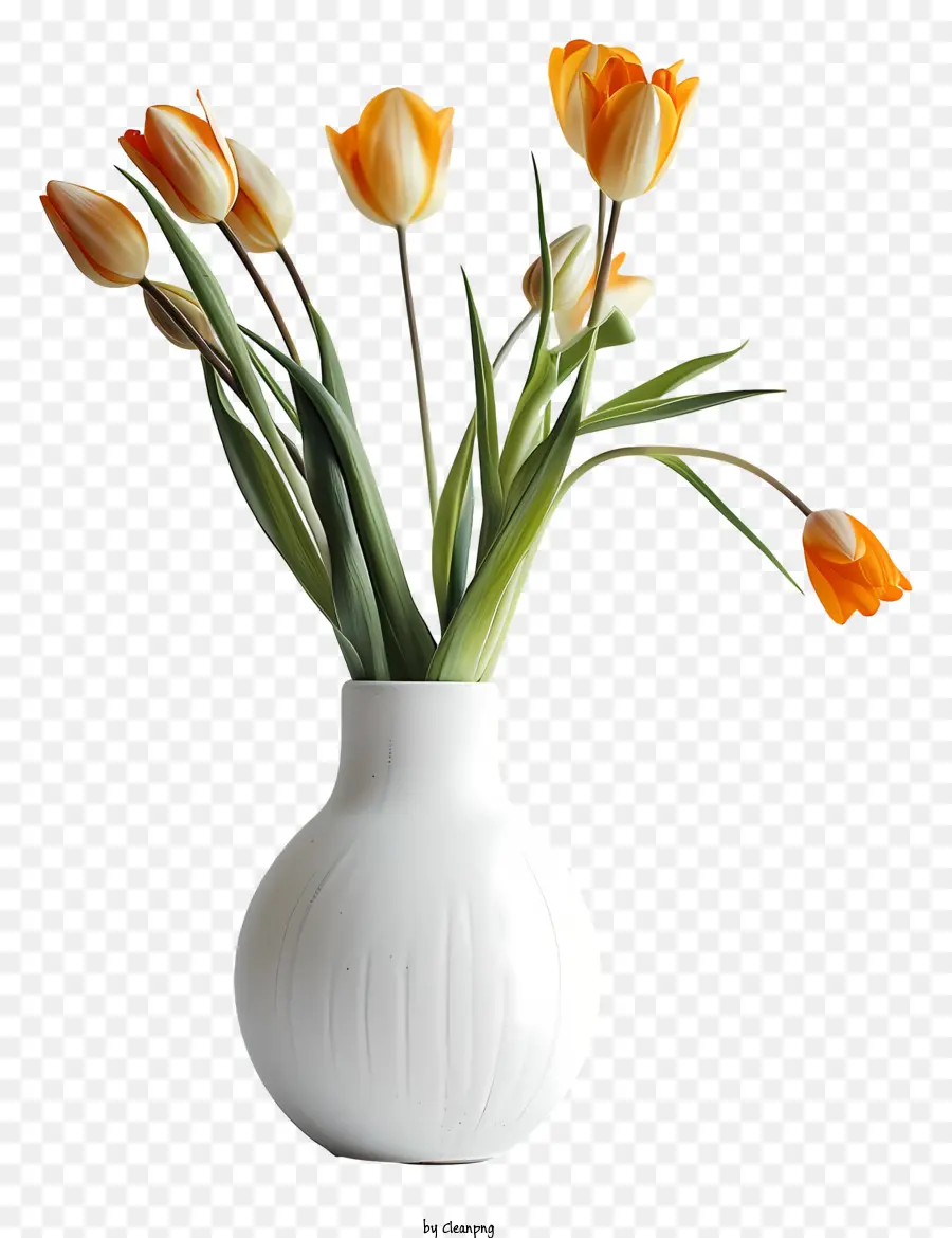 Fleurs，Vase Blanc PNG