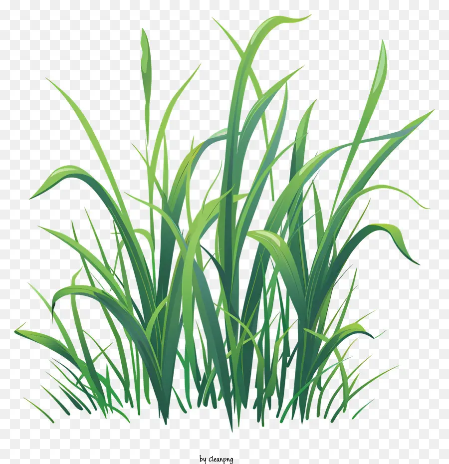L'herbe Printanière，Le Vert De L'herbe PNG