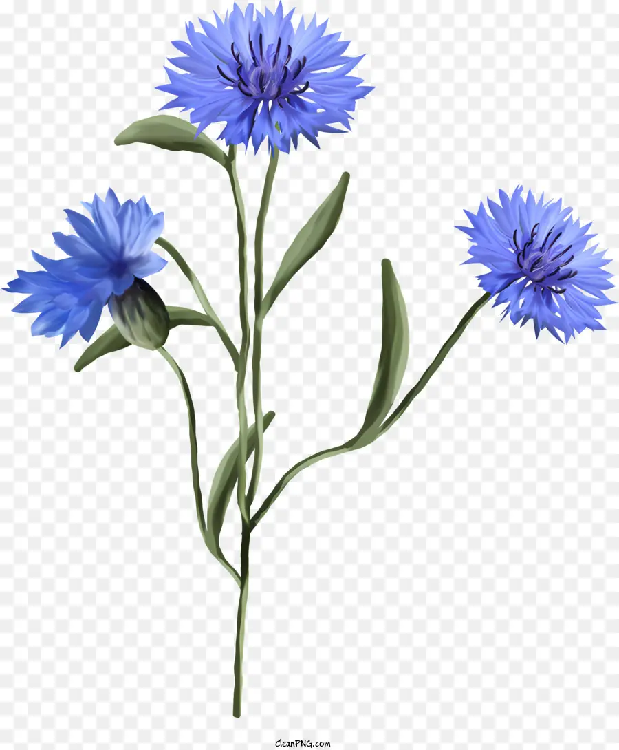 Fleurs，Fleur Bleue PNG