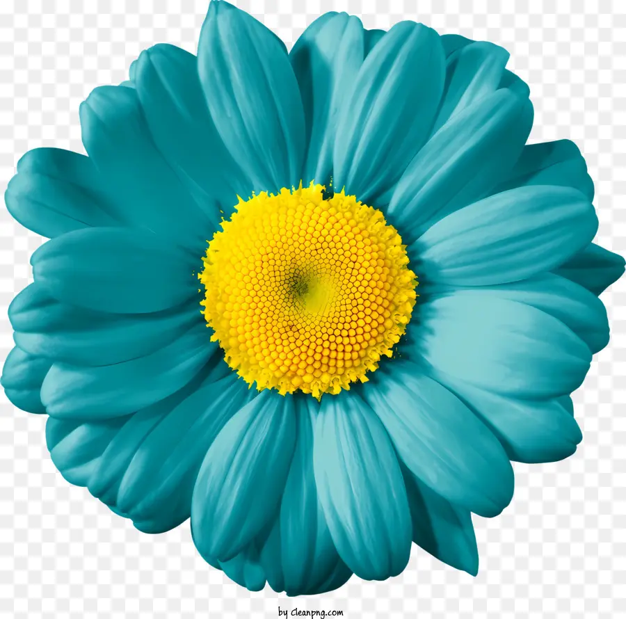 Fleurs，Fleur Bleue PNG