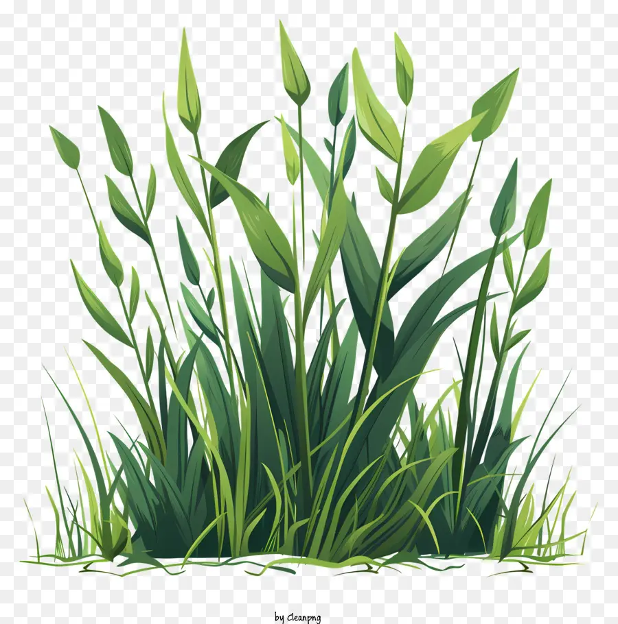L'herbe Printanière，Plantes Vertes PNG
