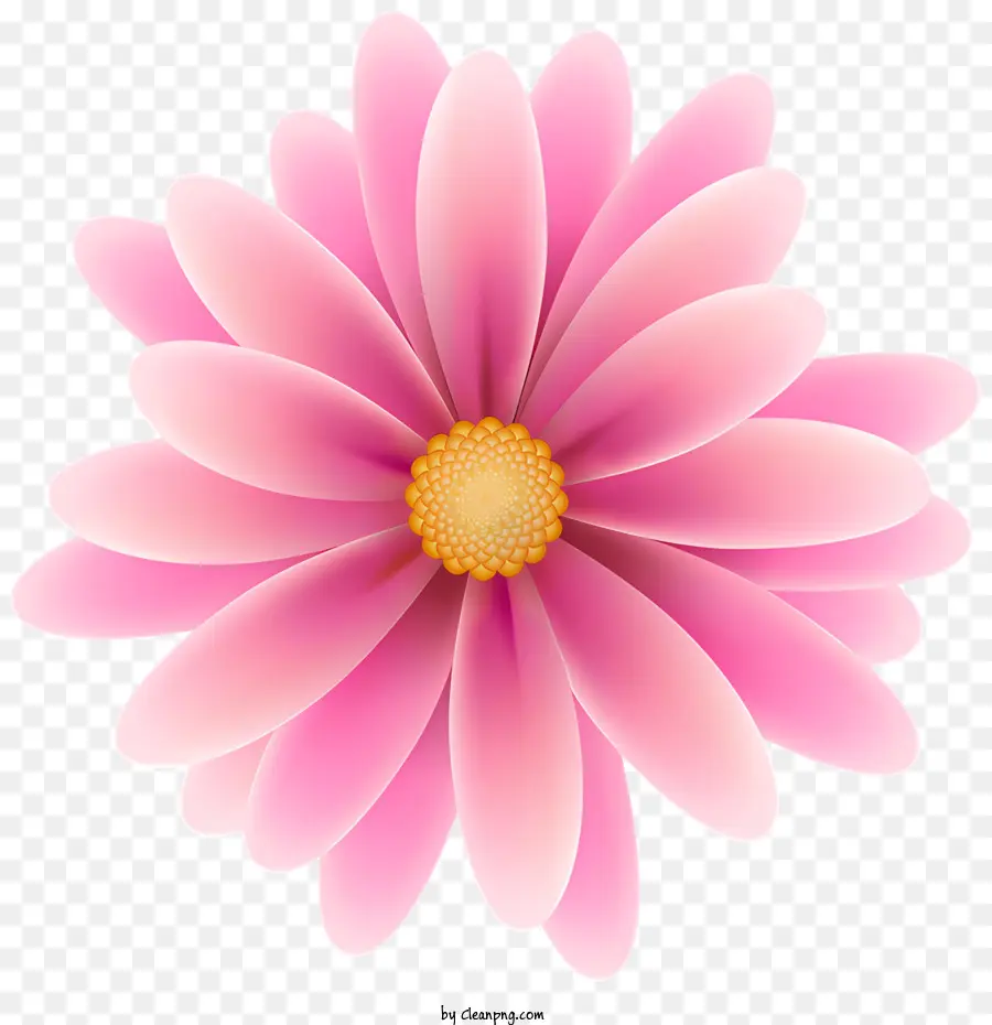 Fleurs，Fleur Rose PNG