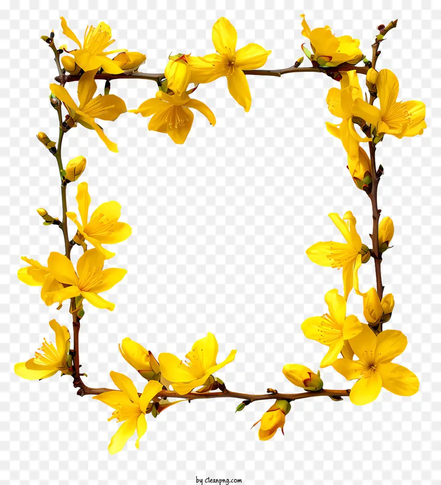 Fleur De Forsythia，Cadre Fleur Jaune PNG