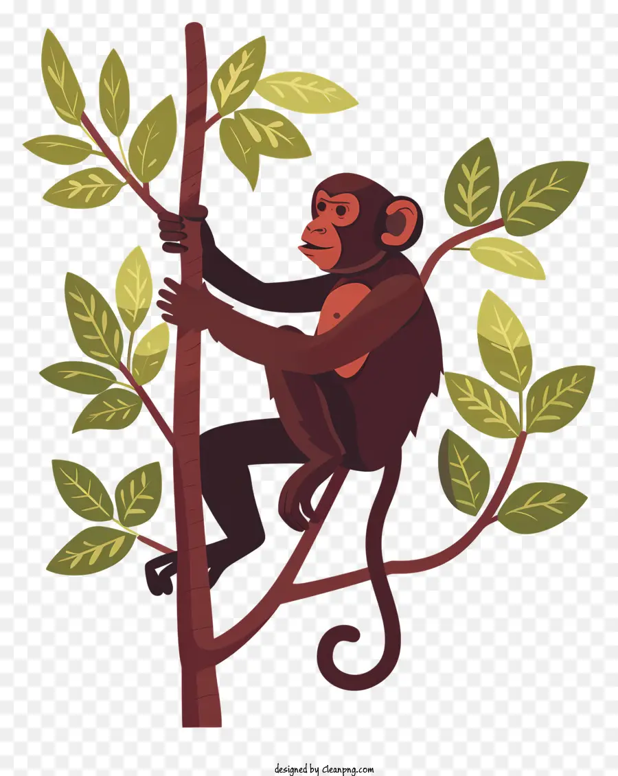 Singe De Dessin Animé，Singe Sur Arbre PNG