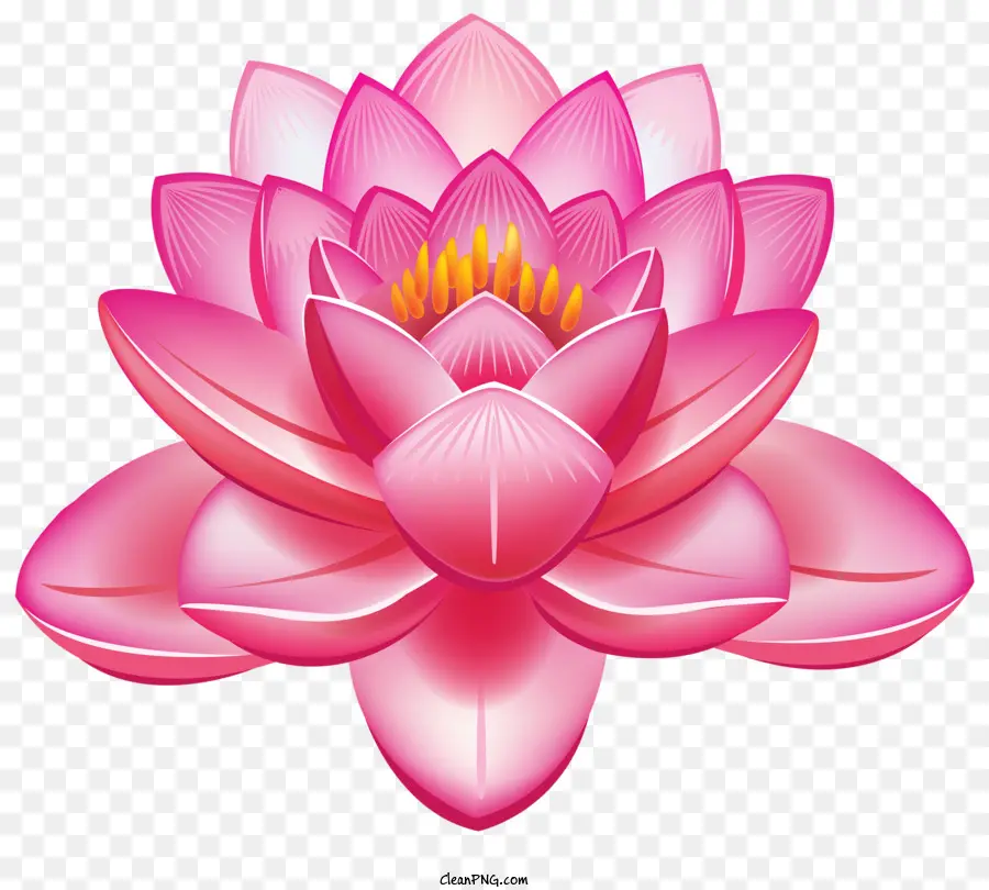 Fleurs，Fleur De Lotus PNG