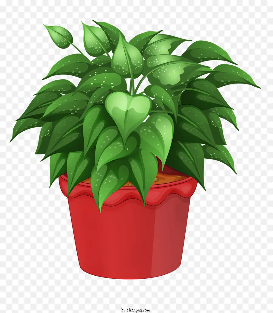 Les Plantes En Pot，Bureau De Plantes PNG
