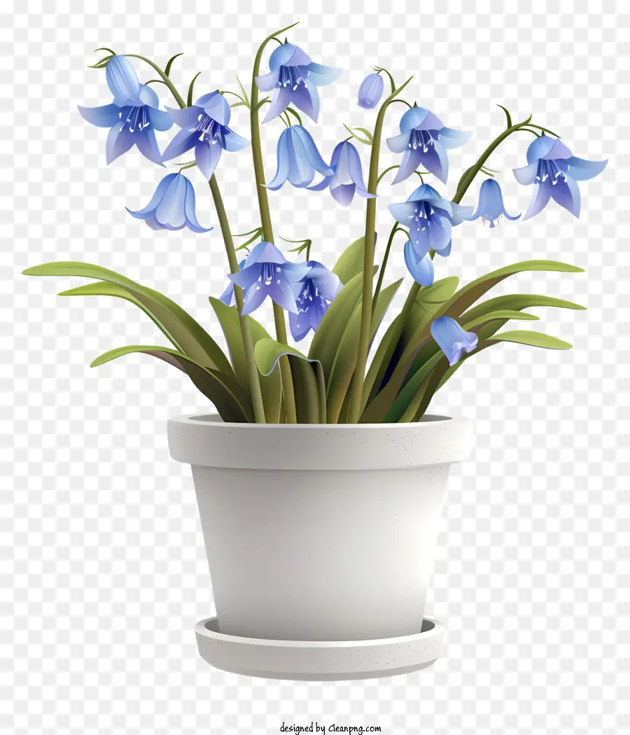 Fleur De Bluebell，Fleur De Printemps PNG