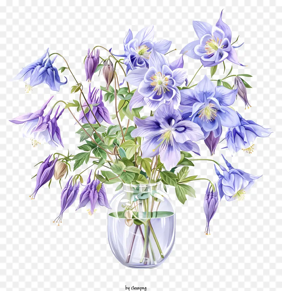 Columbine Flower，Fleur De Printemps PNG