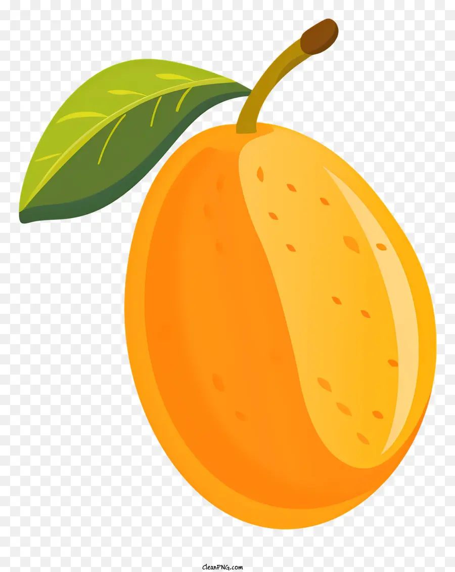 La Mangue，Orange PNG