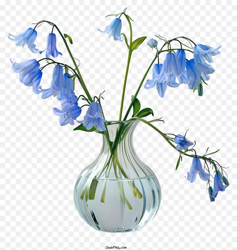 Fleur De Bluebell，Fleur De Printemps PNG
