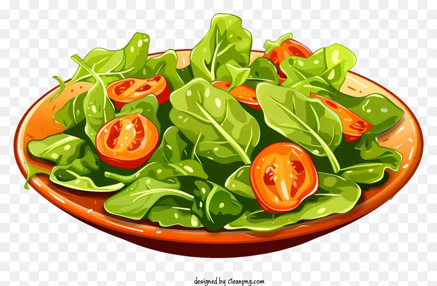 Salade Verte，Salade PNG