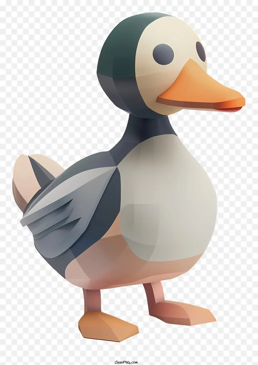 Canard，Plumes Humides PNG