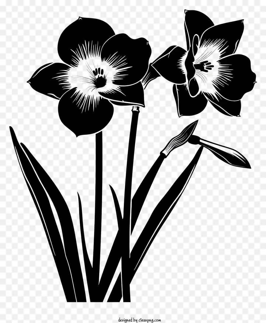 Fleur Silhouette，Noir Fleur PNG