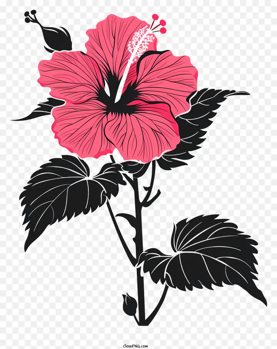 Fleur Silhouette，Hibiscus Rose PNG