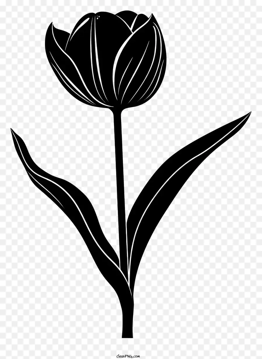Fleur Silhouette，Tulip PNG