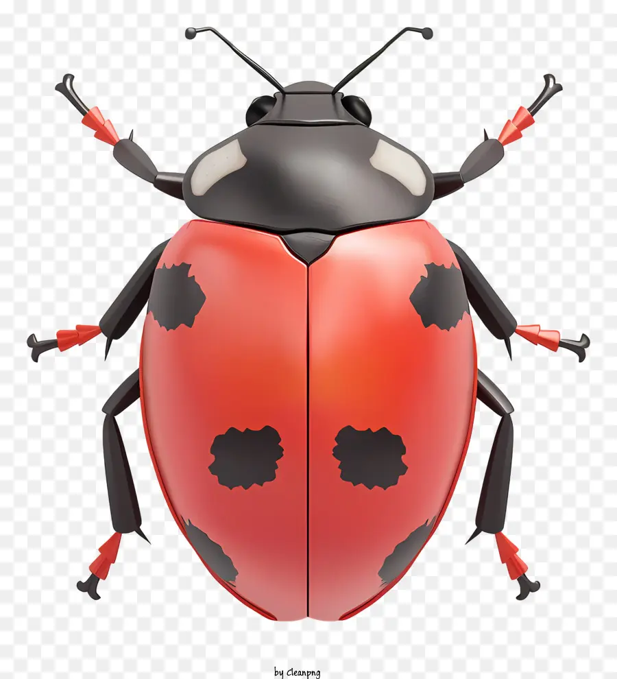 Coccinelle，Rouge PNG