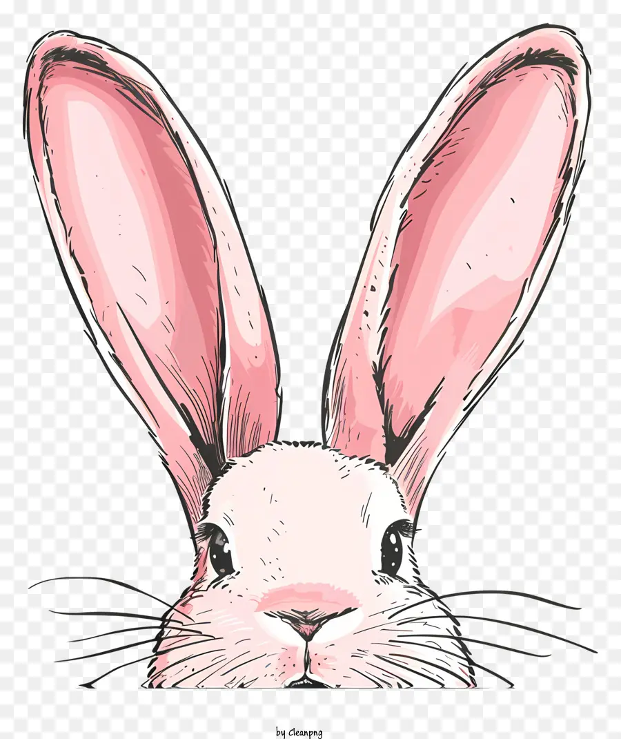 Oreilles De Lapin，Lapin PNG