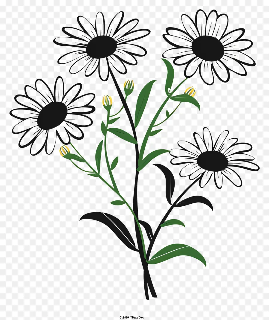 Fleur Silhouette，Plante PNG