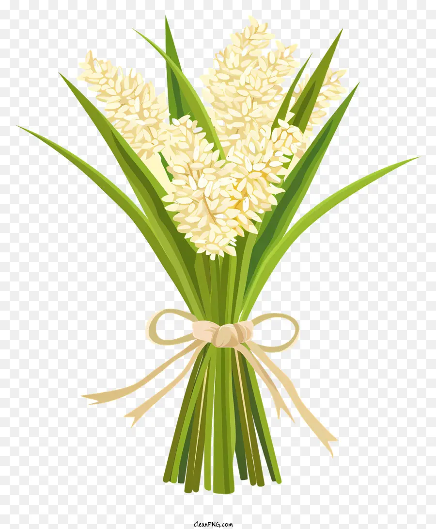 Gerbe De Riz，Fleurs Blanches PNG