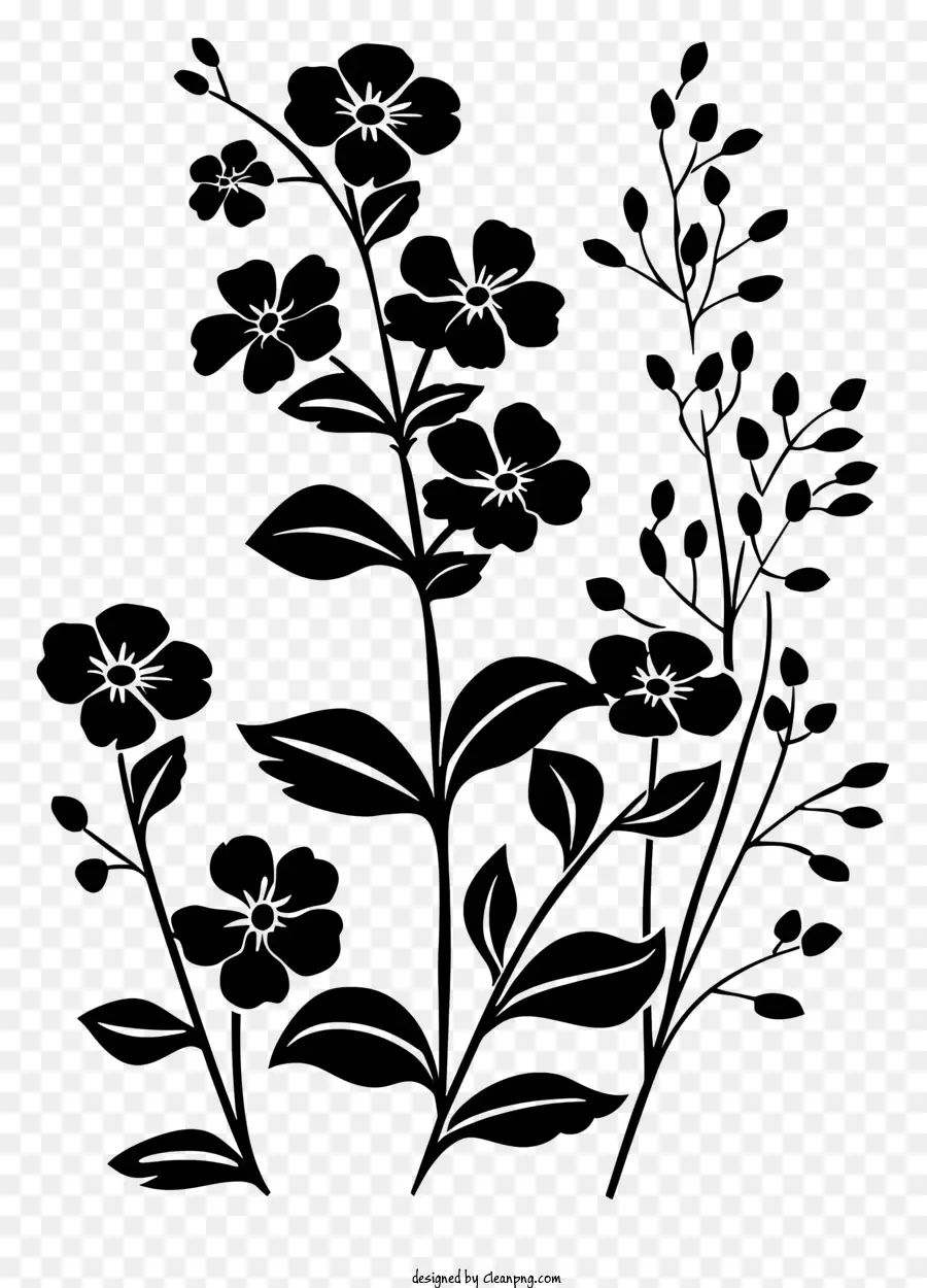 Fleur Silhouette，Fleurs PNG