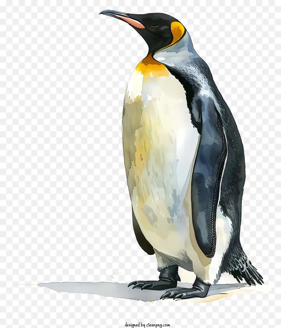 Monde Pingouin Jour，Peinture à L'aquarelle PNG