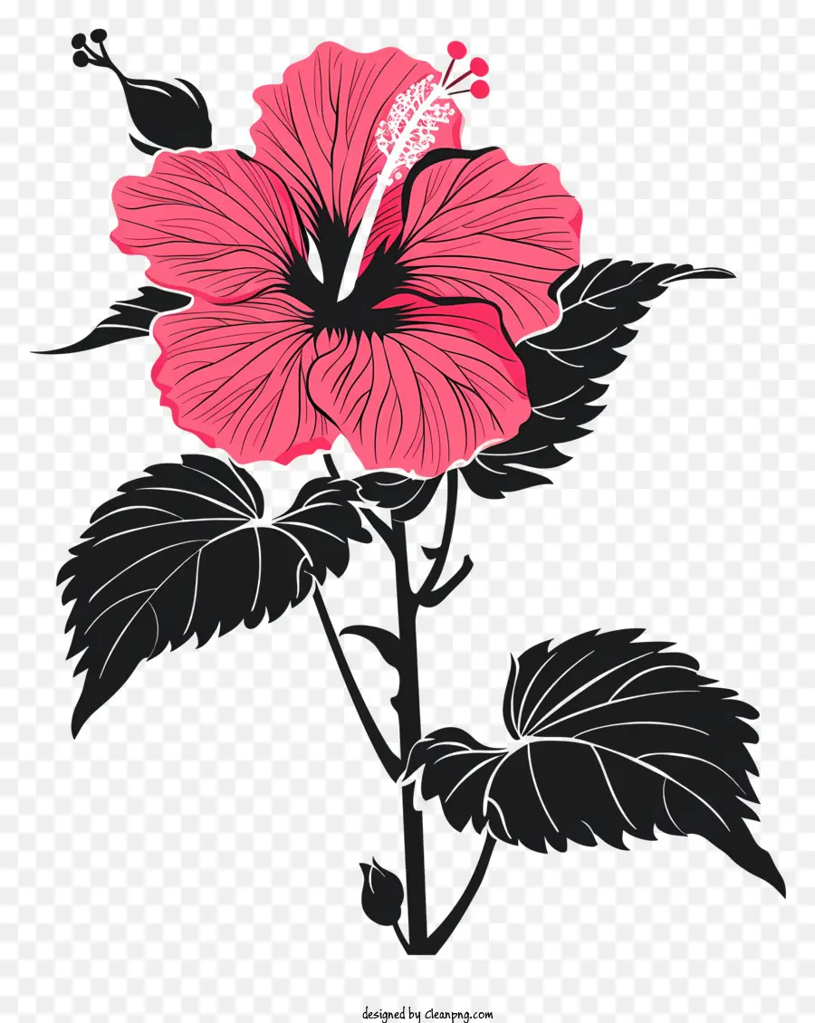 Fleur Silhouette，Rose Fleur D'hibiscus PNG