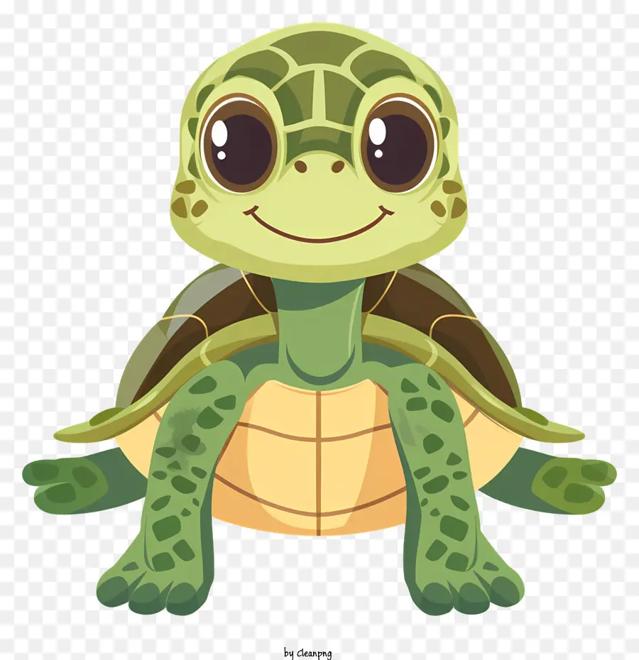 Tortue De Dessin Animé，Tortue PNG