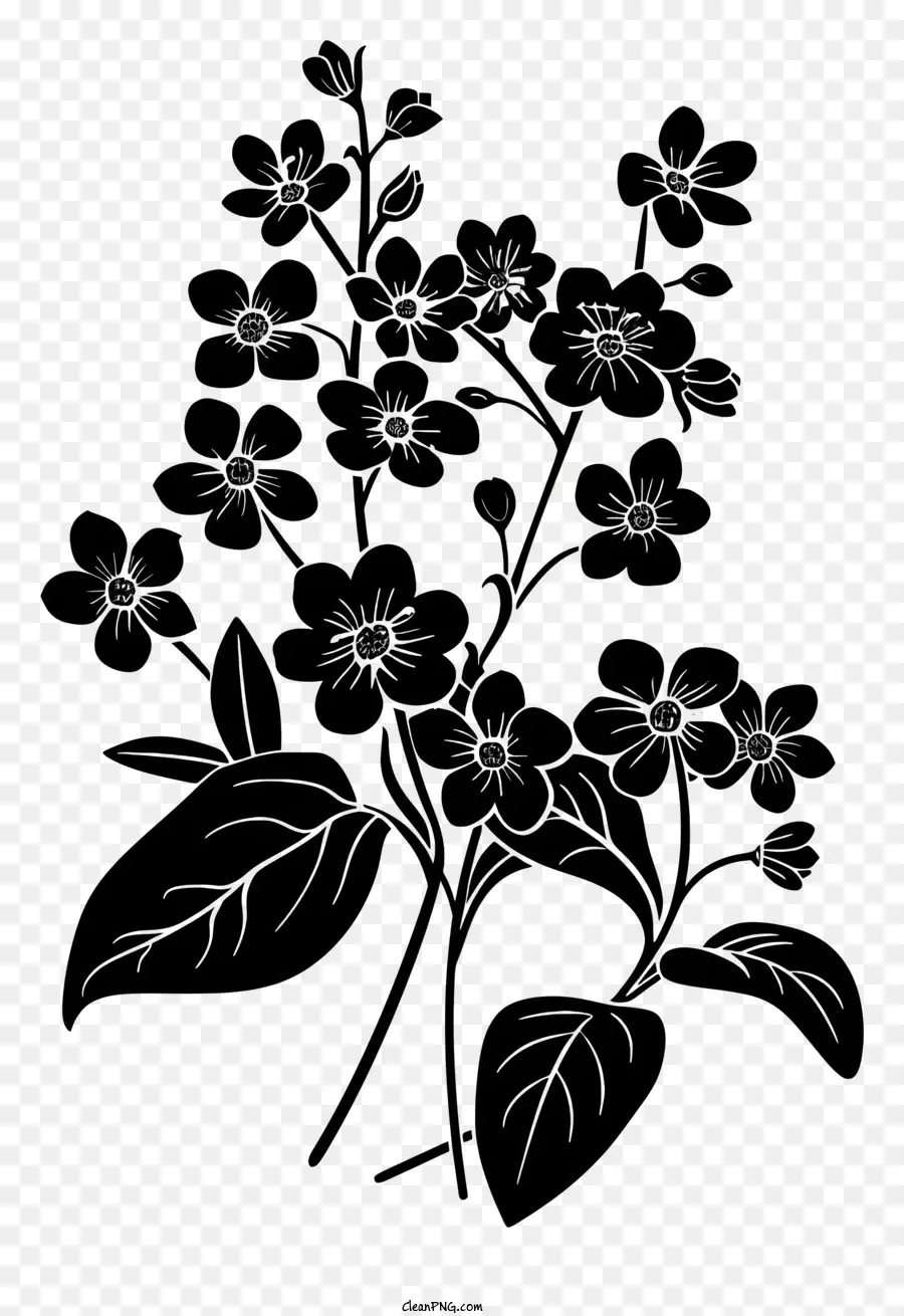 Fleur Silhouette，Fleurs PNG