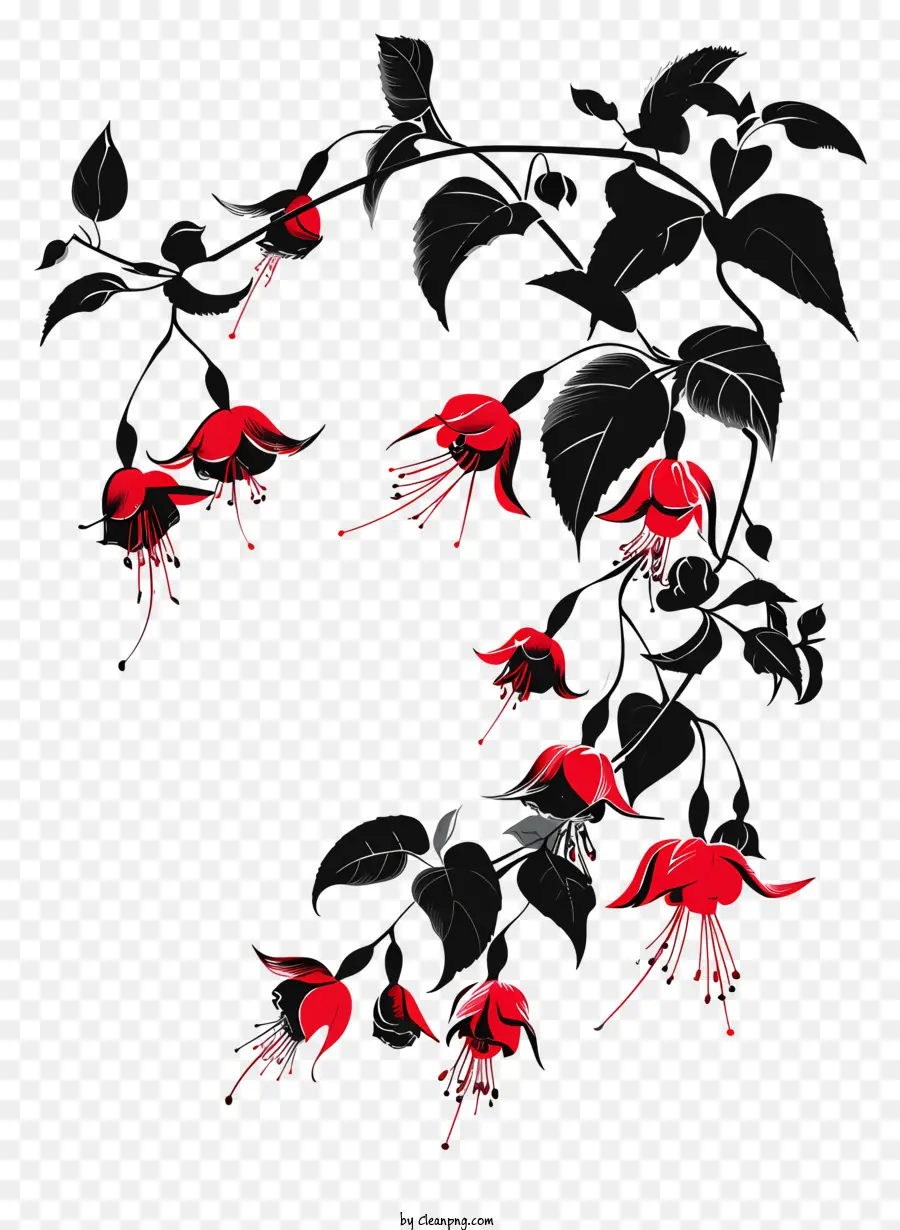 Fleur Silhouette，Fuchsia Fleurs PNG