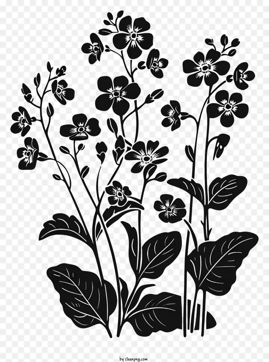 Fleur Silhouette，Les Petites Plantes PNG