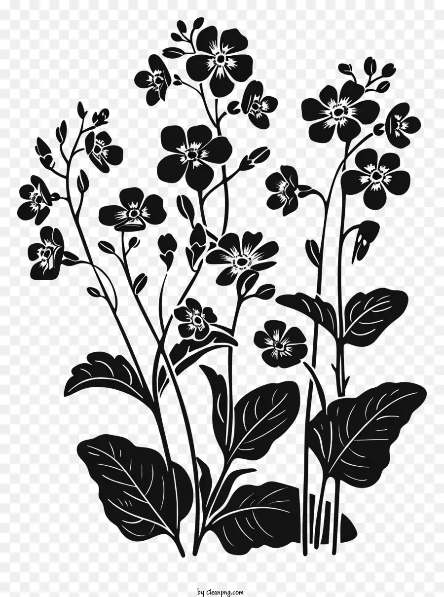 Fleur Silhouette，Silhouette Florale PNG