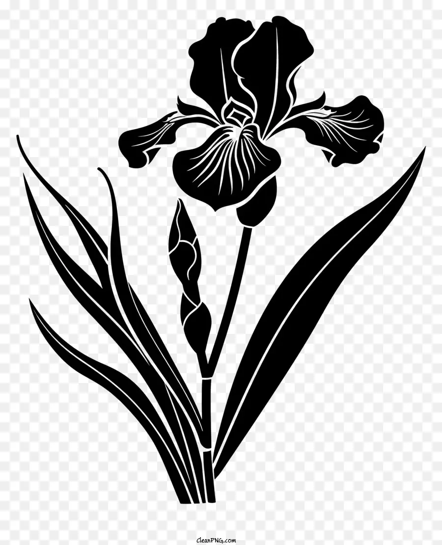 Fleur Silhouette，Fleur De Dessin PNG