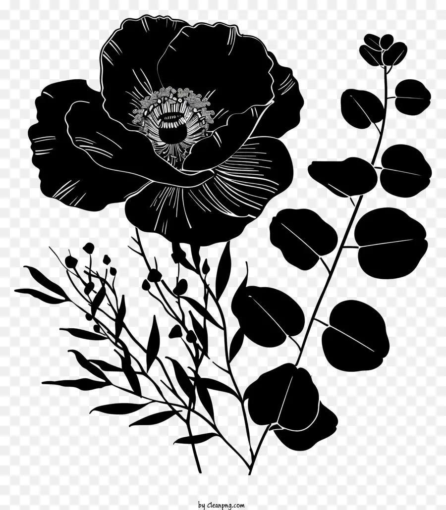 Fleur Silhouette，Noir Fleur PNG
