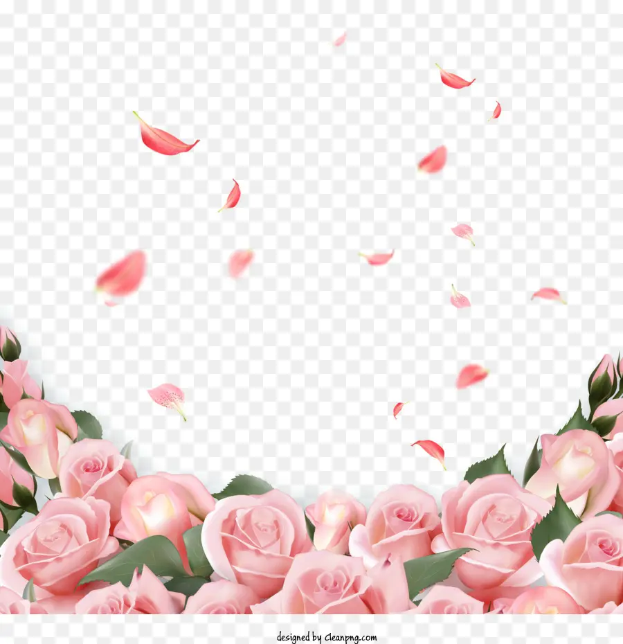 Roses，Les Roses Roses PNG