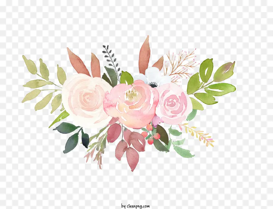Roses，Illustration Aquarelle PNG