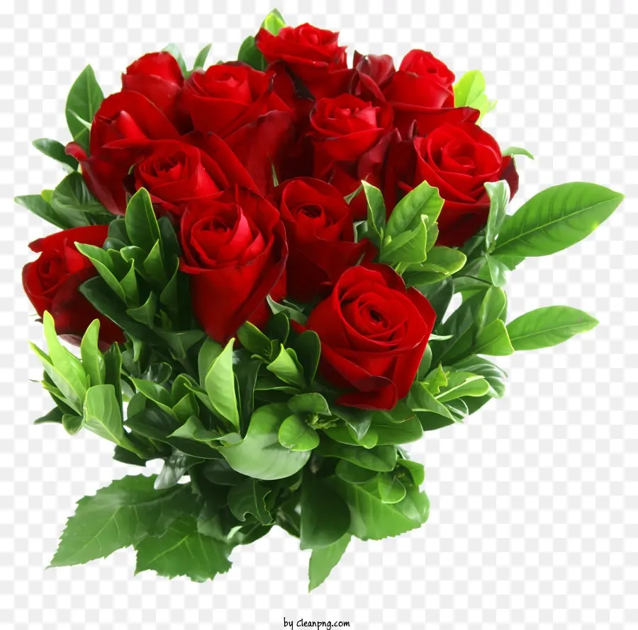 Roses，Les Roses Rouges PNG