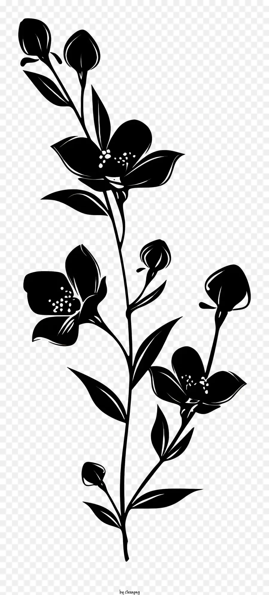 Fleur Silhouette，Plante PNG