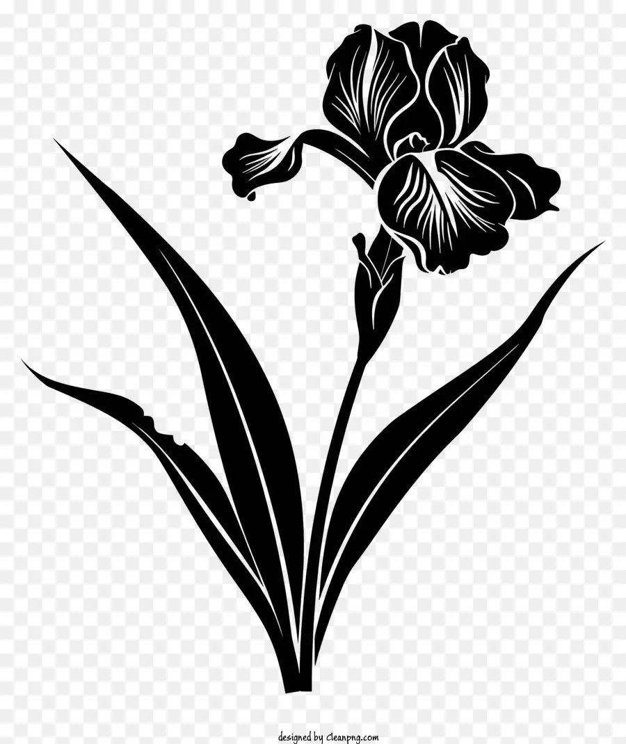 Fleur Silhouette，Iris Fleur PNG