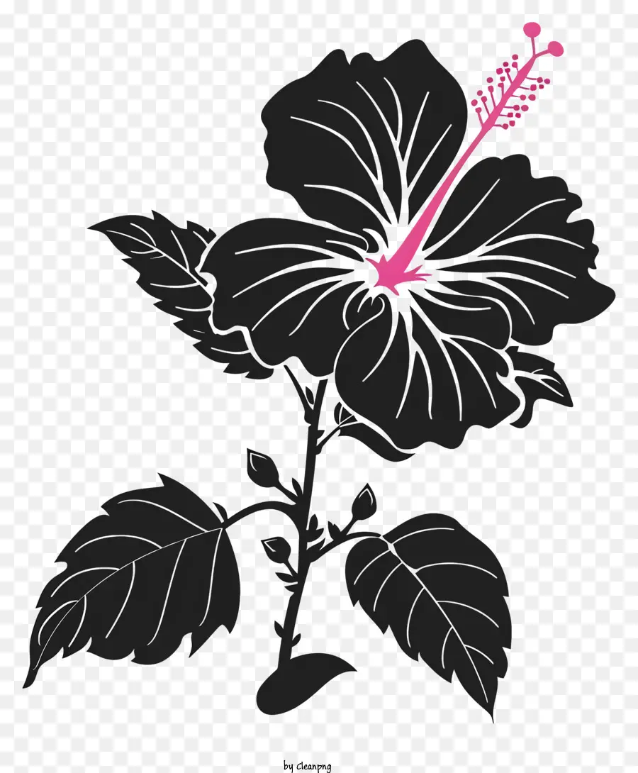 Fleur Silhouette，Hibiscus PNG