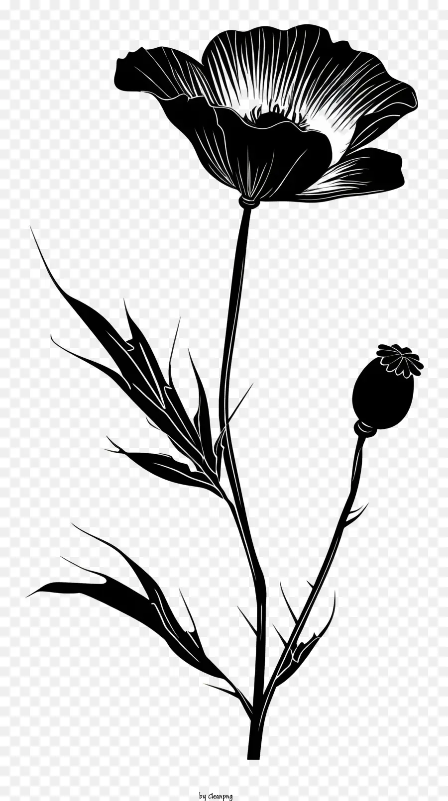 Fleur Silhouette，Fleur Noire PNG