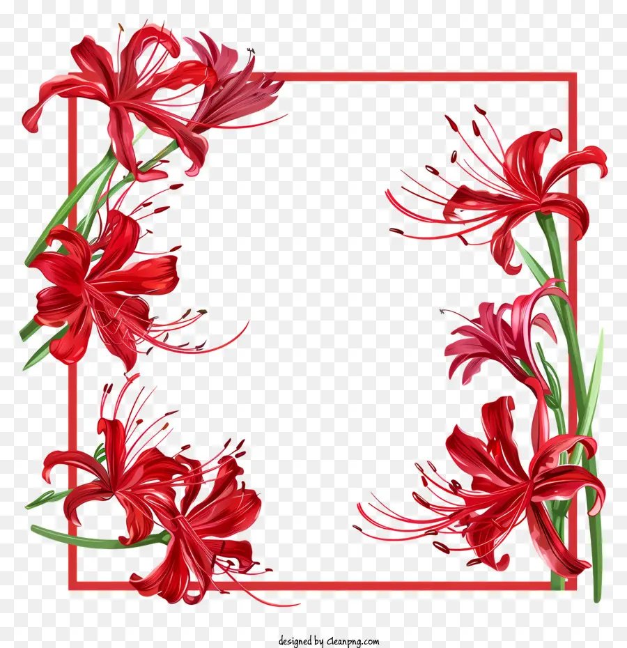 Araignée Rouge Lily，Couronne De Fleurs PNG