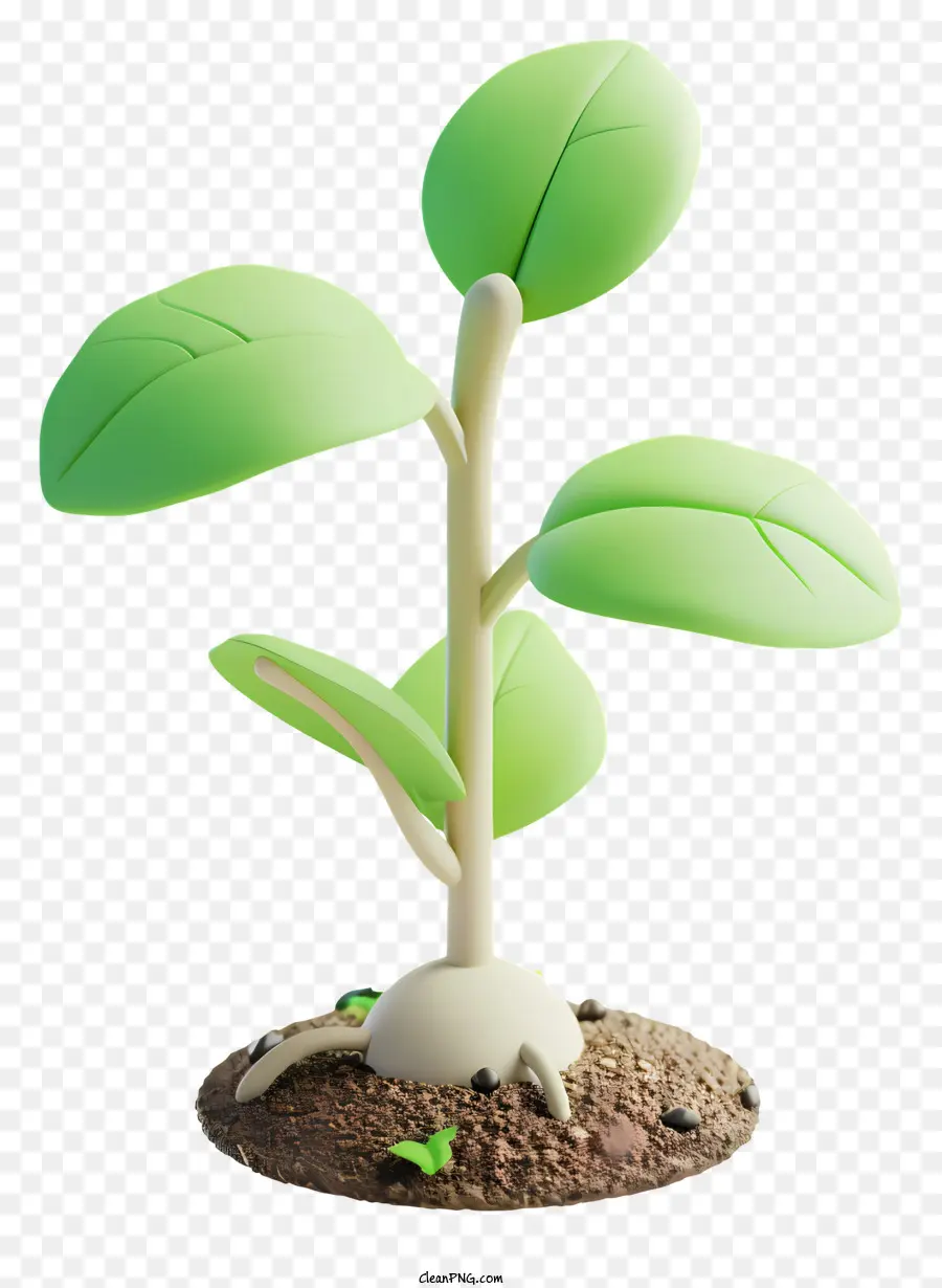 Semis，Plante Verte PNG