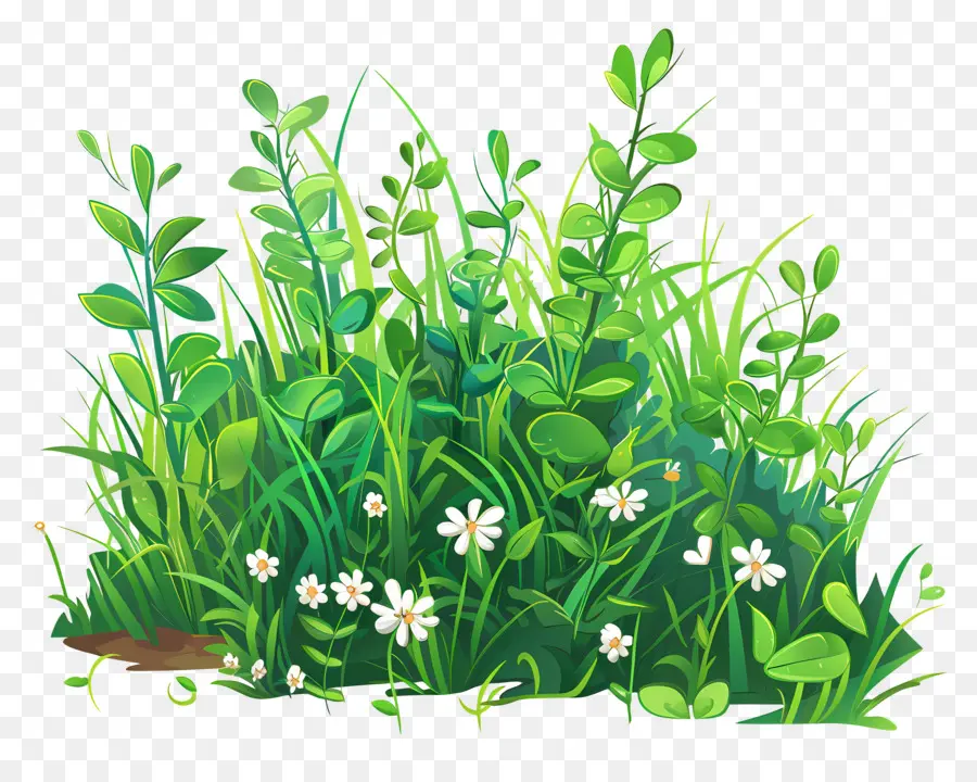 Herbe，Herbes PNG