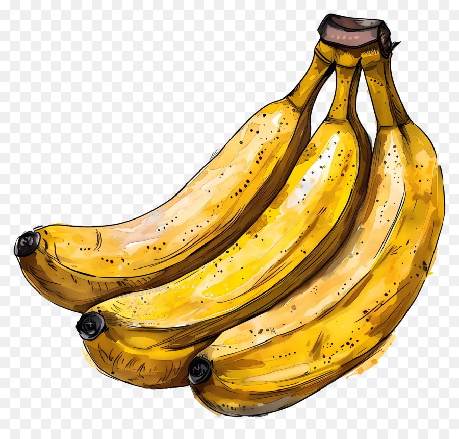 Banane Jour，Banane PNG