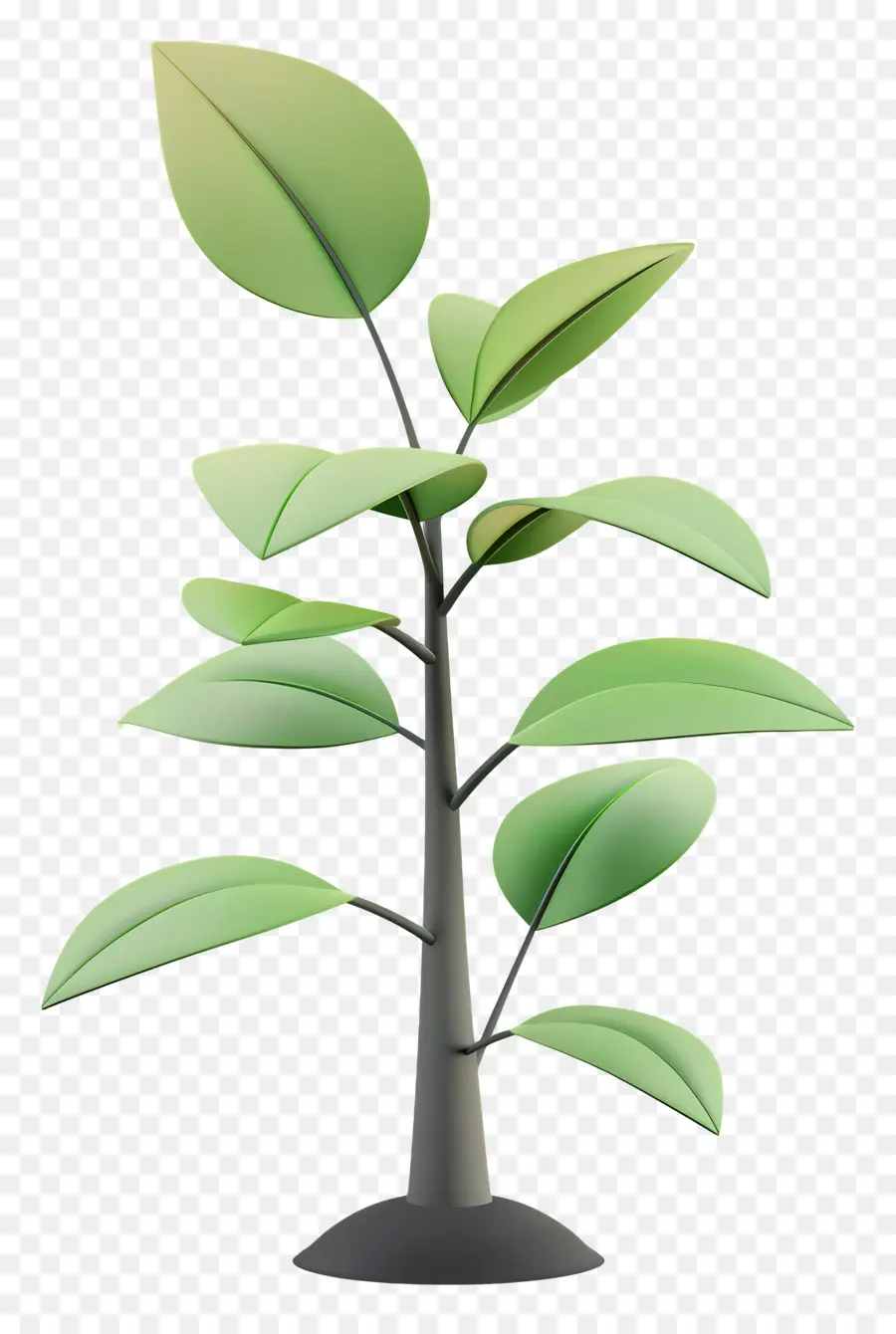 Plant，Plante PNG