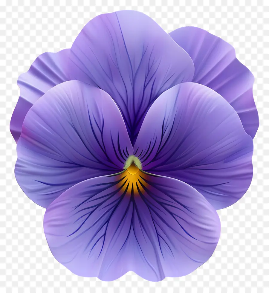 Pansy Fleur，Fleur De Panoramique Violet PNG
