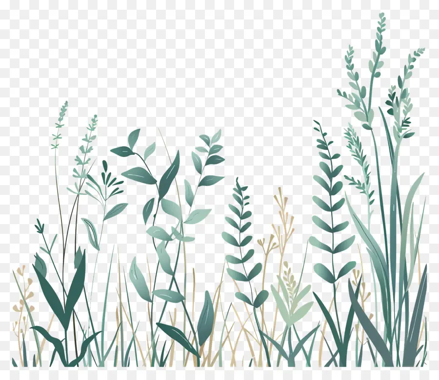 Herbe，Plantes PNG